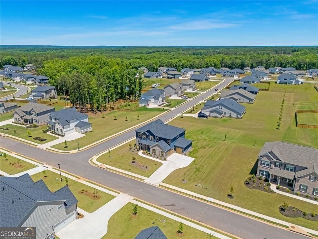 249 Arwen Drive McDonough - Photo 23