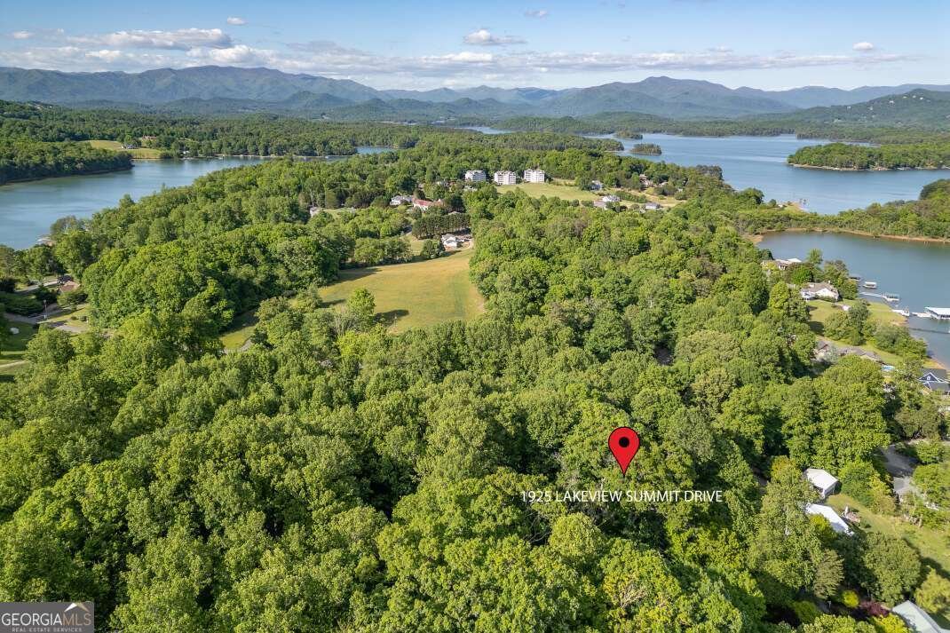 1925 Lakeview Summit Drive Young Harris - Photo 66
