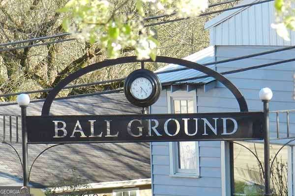 101 Tanya Way Ball Ground - Photo 6