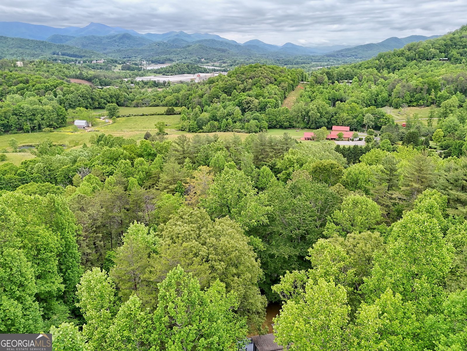 325 Walnut Mountain Road Rabun Gap - Photo 38