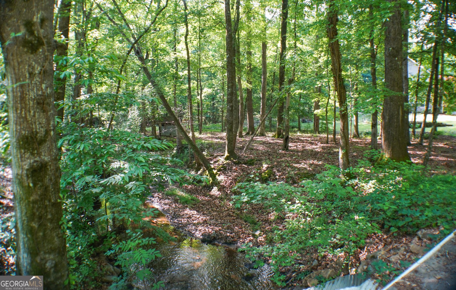 335 Winding Stream Trail Hampton - Photo 33