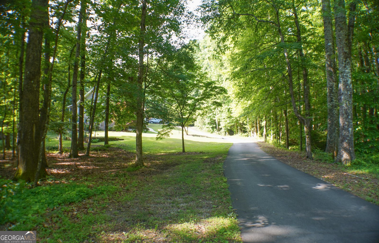 335 Winding Stream Trail Hampton - Photo 34