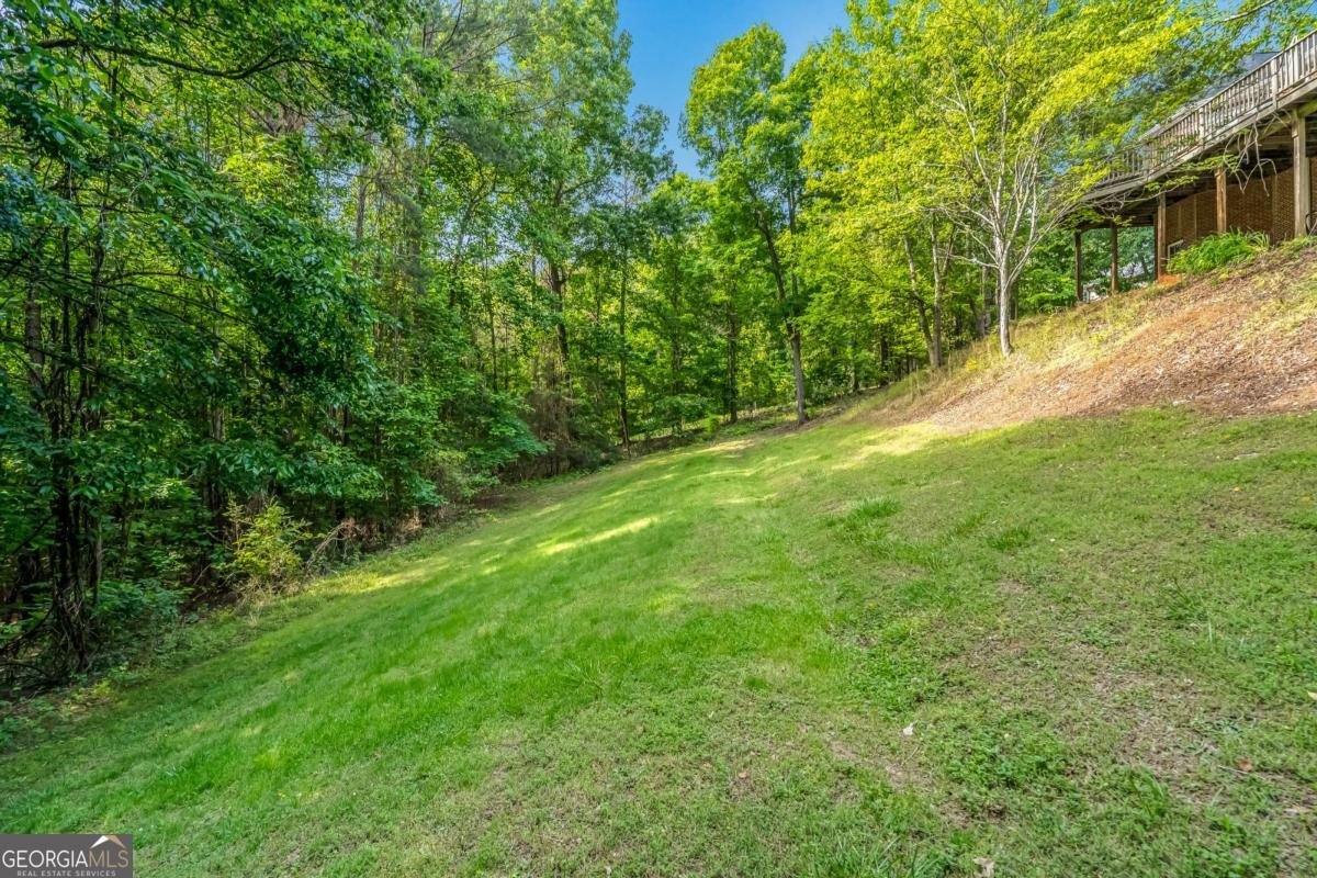 411 Overlook Way Cohutta - Photo 82