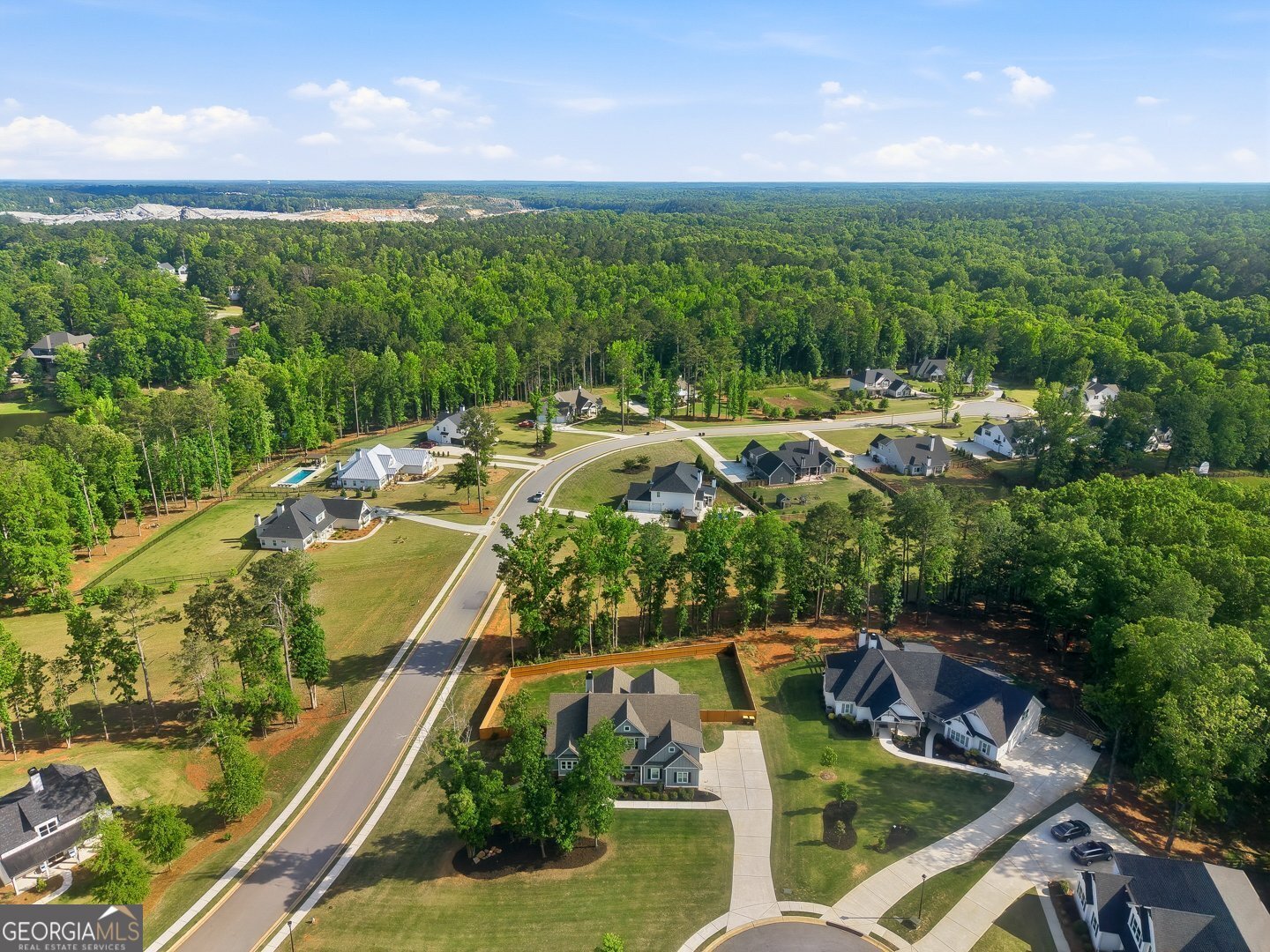 100 Wind Court Tyrone - Photo 53