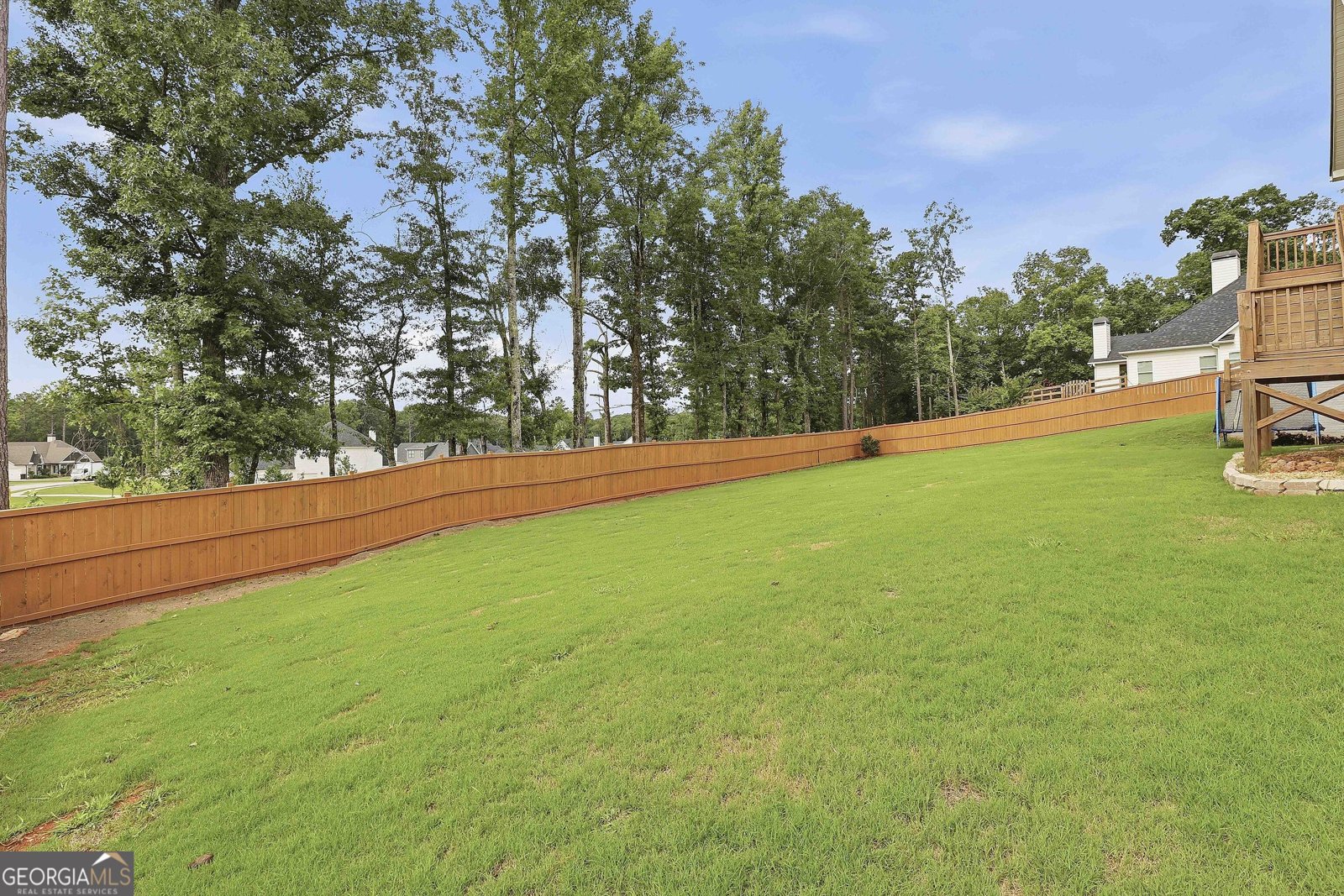 100 Wind Court Tyrone - Photo 58