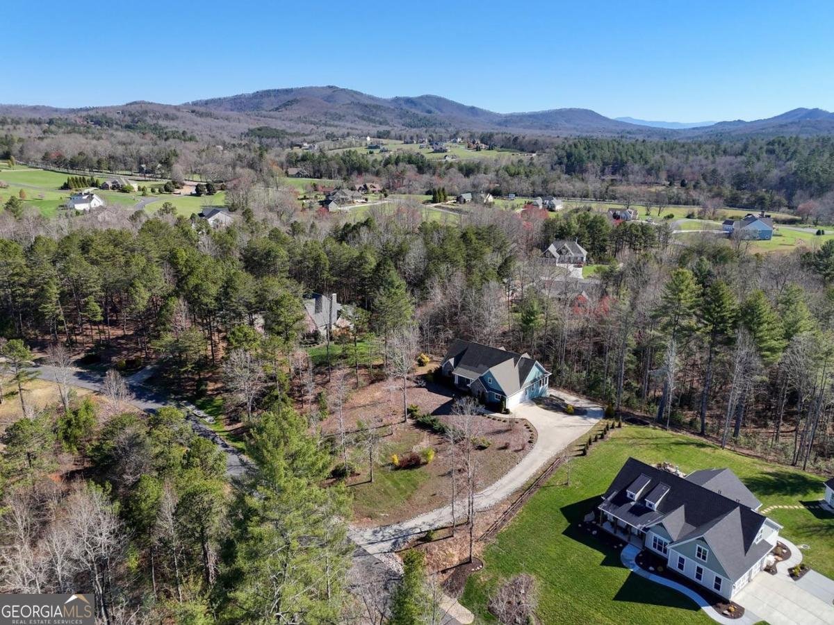 731 Owen Vista Drive Blairsville - Photo 72