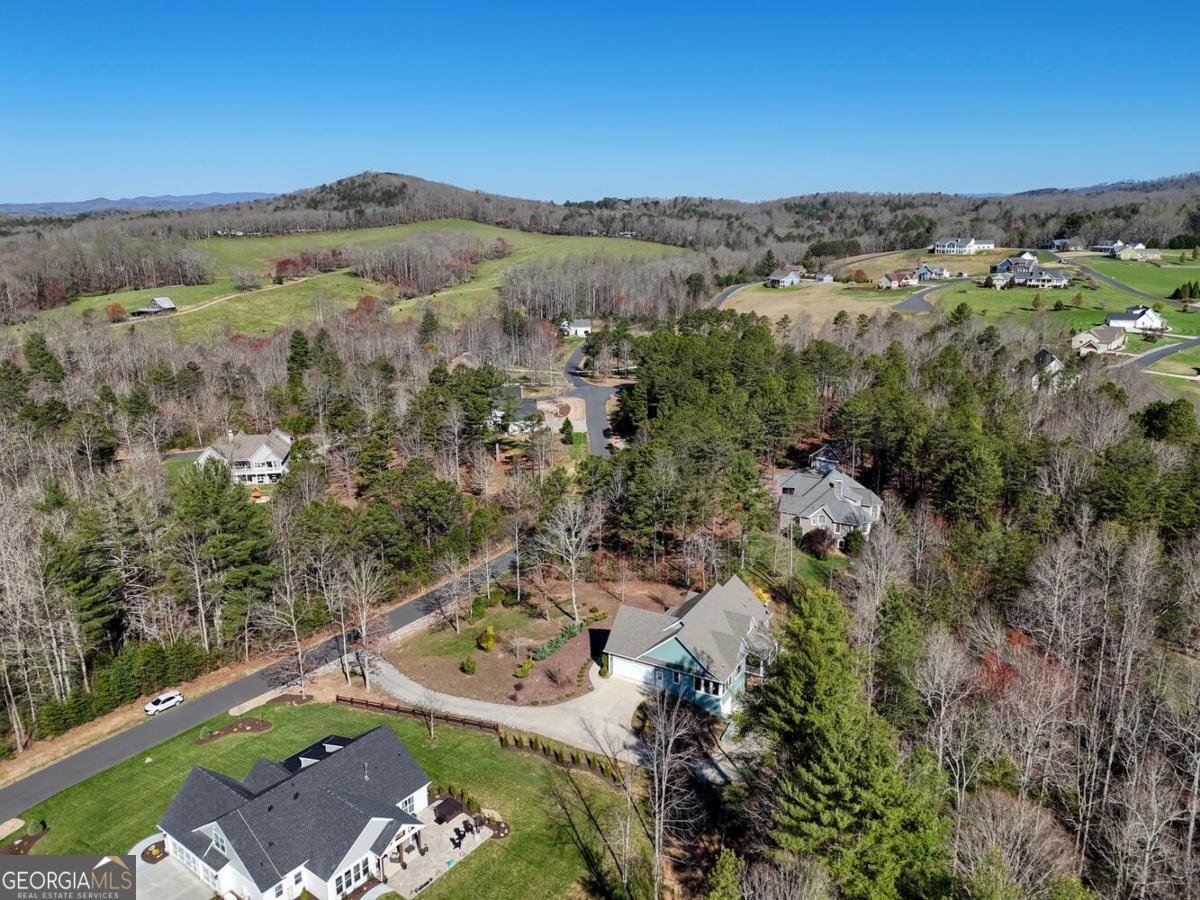 731 Owen Vista Drive Blairsville - Photo 73