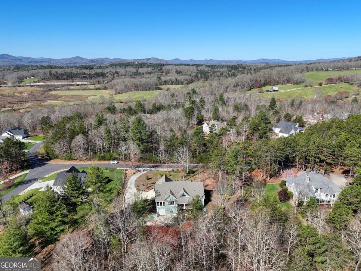 731 Owen Vista Drive Blairsville - Photo 74