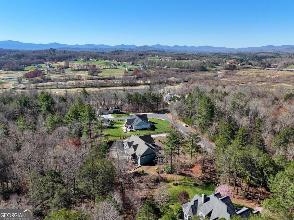 731 Owen Vista Drive Blairsville - Photo 75