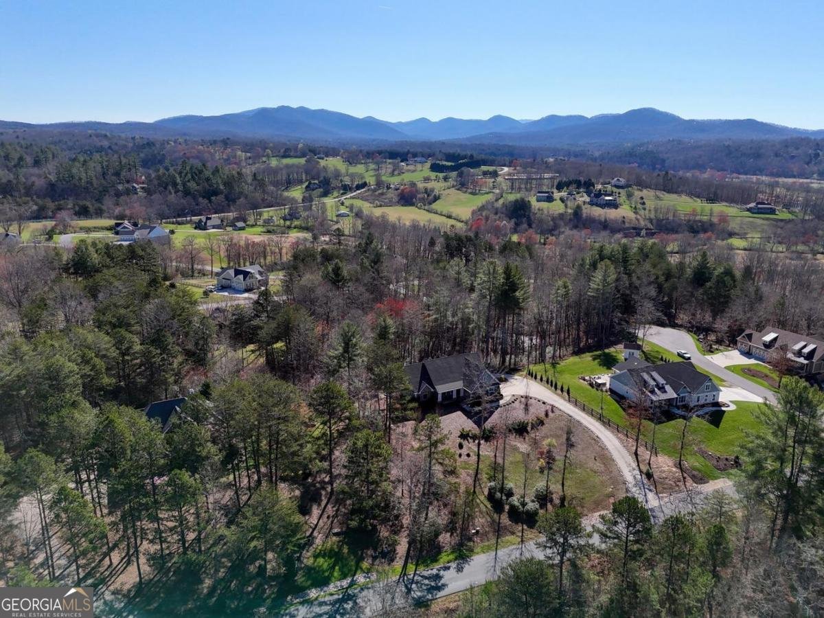 731 Owen Vista Drive Blairsville - Photo 76