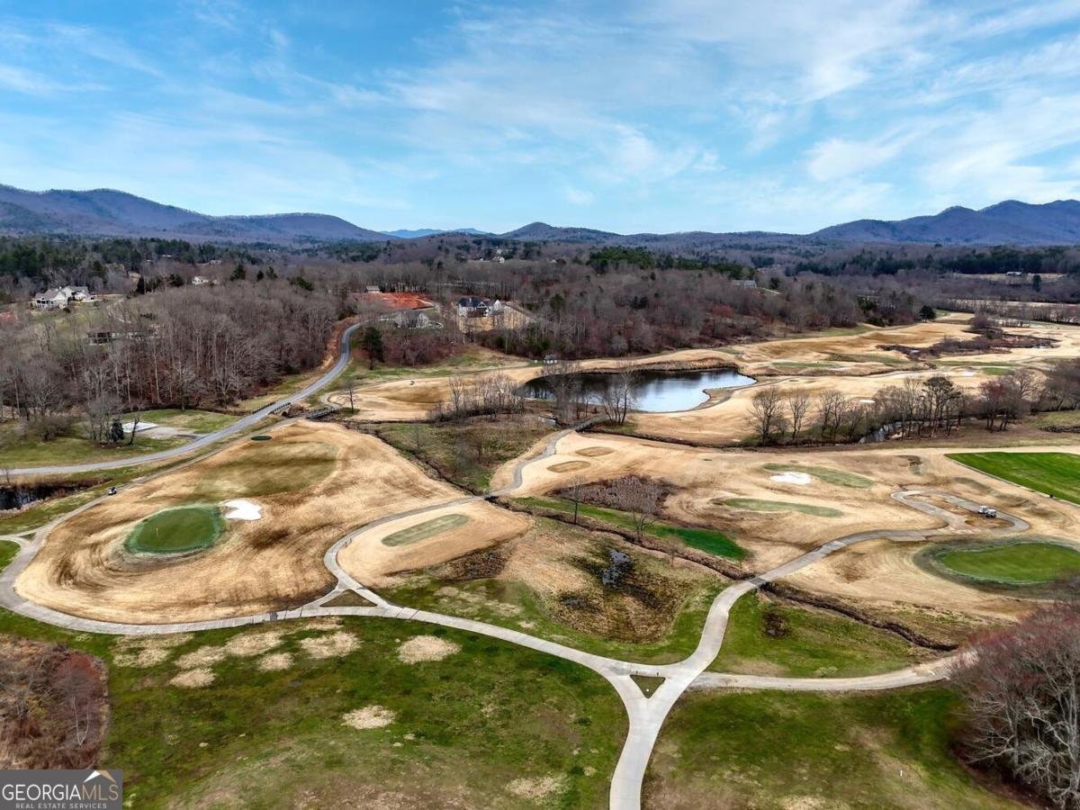 731 Owen Vista Drive Blairsville - Photo 83