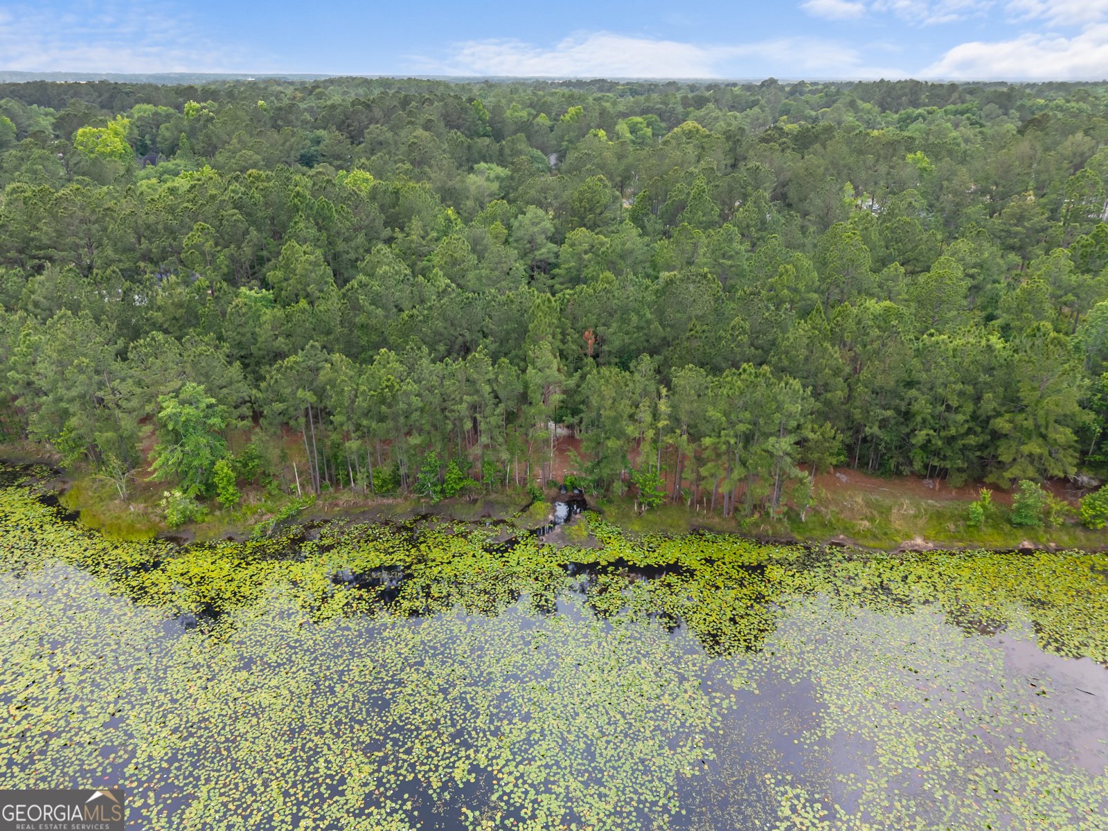 804 Bay Tree Lane Statesboro - Photo 28