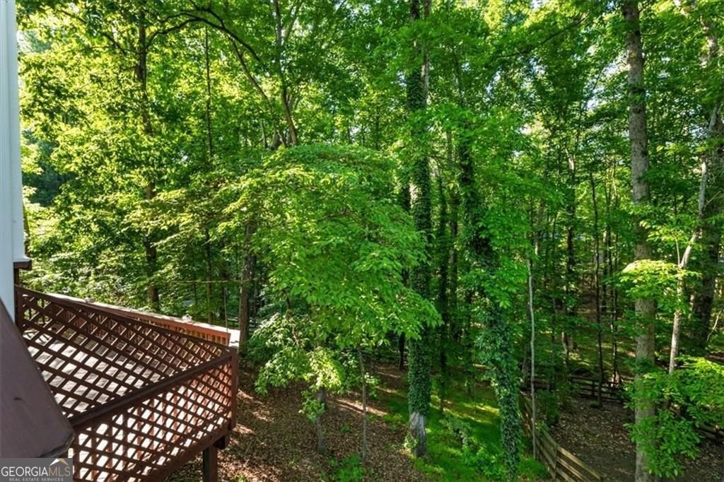 1820 Branch Valley Drive Roswell - Photo 55