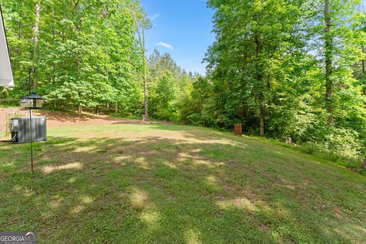 398 Gold Ridge Road Dahlonega - Photo 41