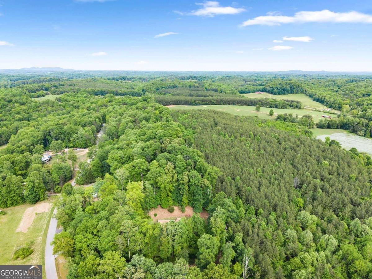 398 Gold Ridge Road Dahlonega - Photo 45