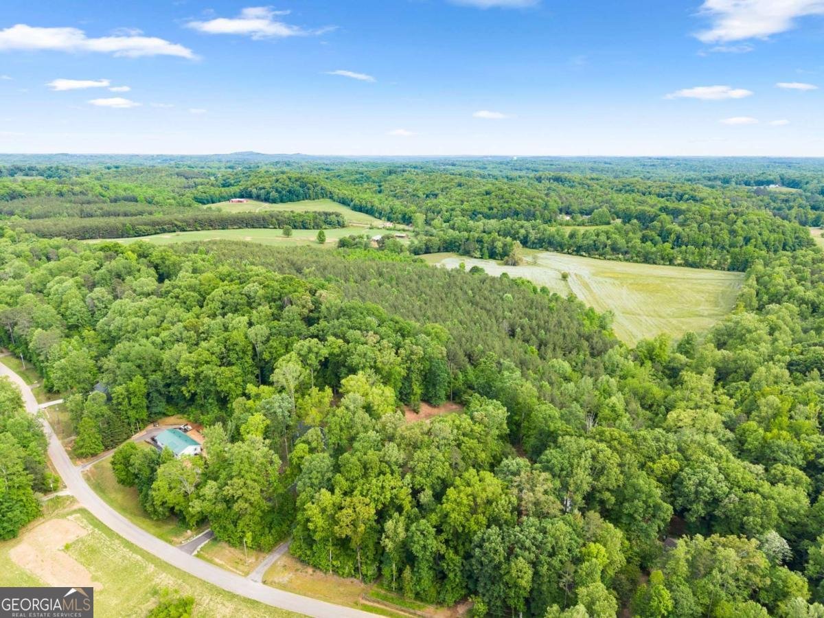 398 Gold Ridge Road Dahlonega - Photo 46