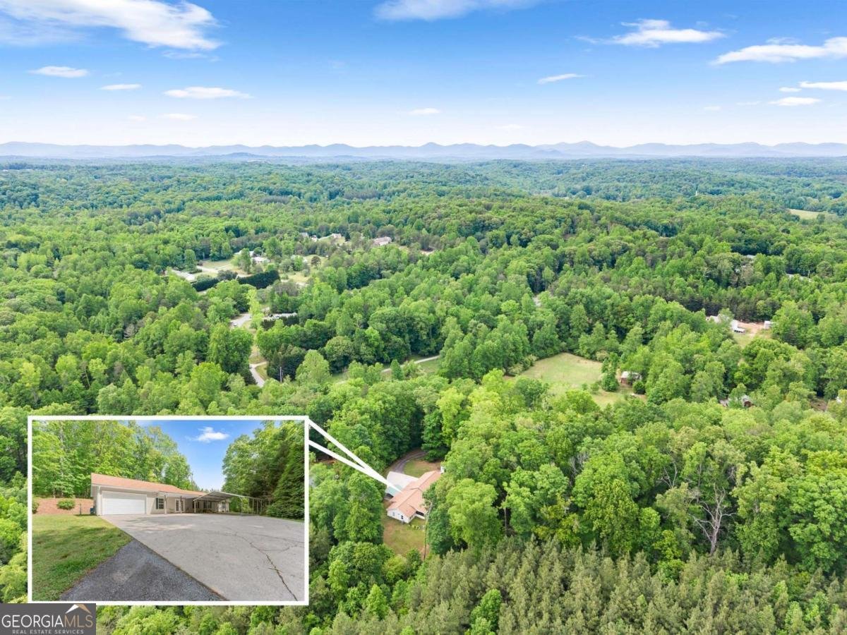 398 Gold Ridge Road Dahlonega - Photo 48