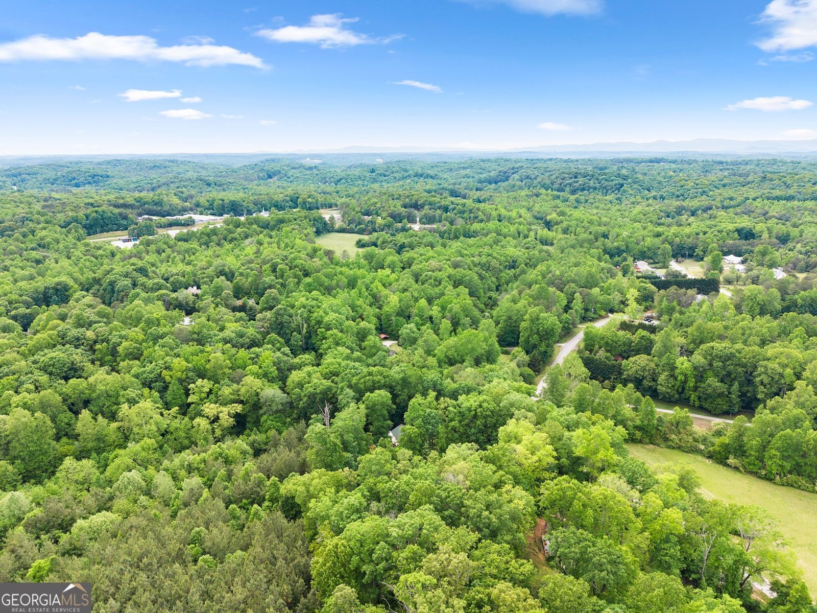 398 Gold Ridge Road Dahlonega - Photo 49