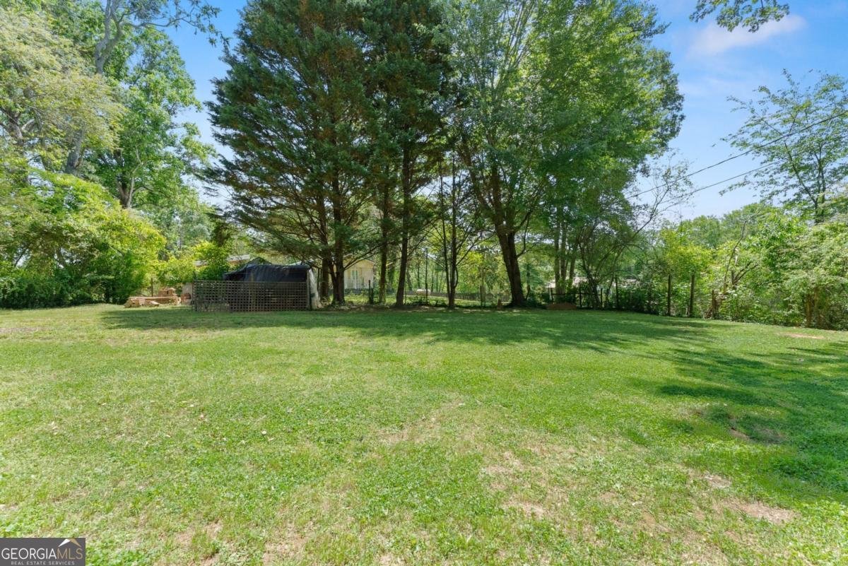 1076 Highway 9 Dawsonville - Photo 36