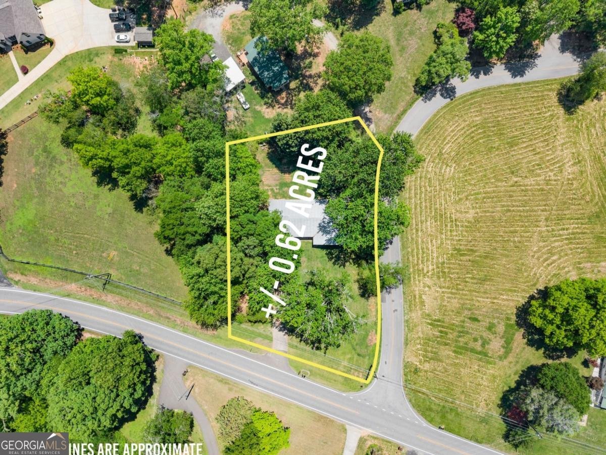 1076 Highway 9 Dawsonville - Photo 38