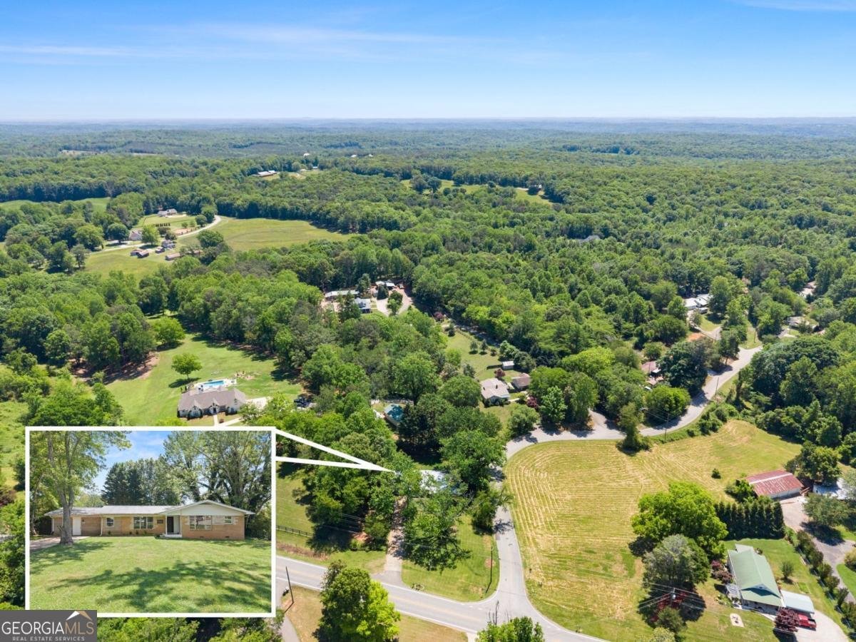 1076 Highway 9 Dawsonville - Photo 40