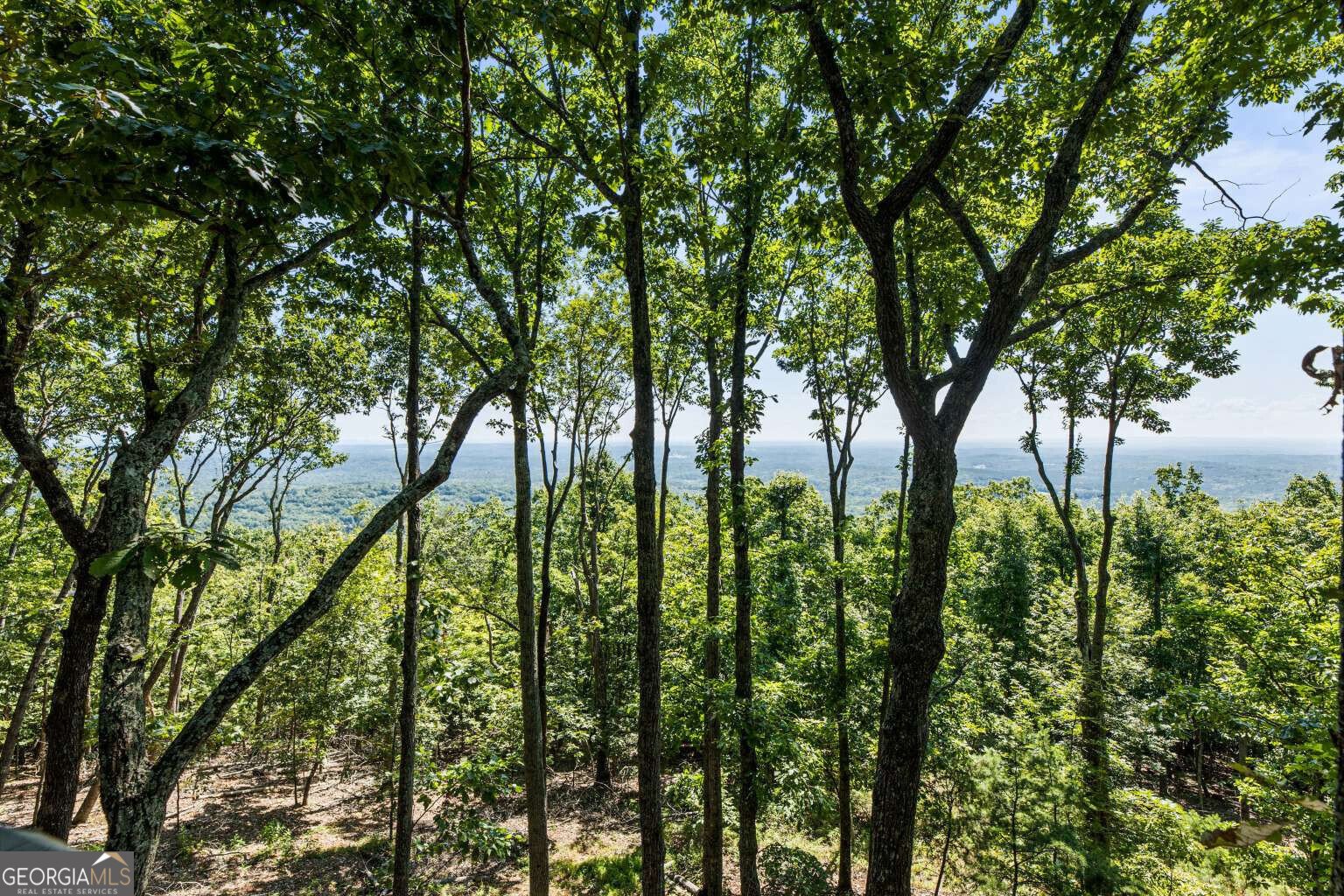 912 Mcelroy Mountain Drive Jasper - Photo 23