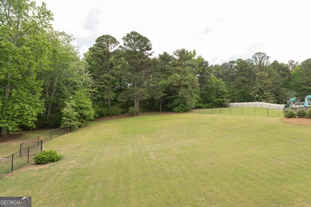 302 Shady Valley Drive Carrollton - Photo 78