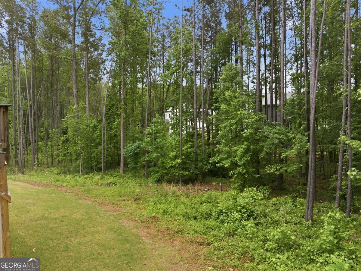 136 Ledgemont Way Acworth - Photo 59