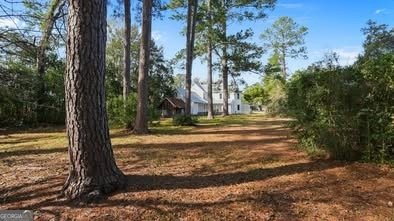 117 Mcqueen Street Ludowici - Photo 13