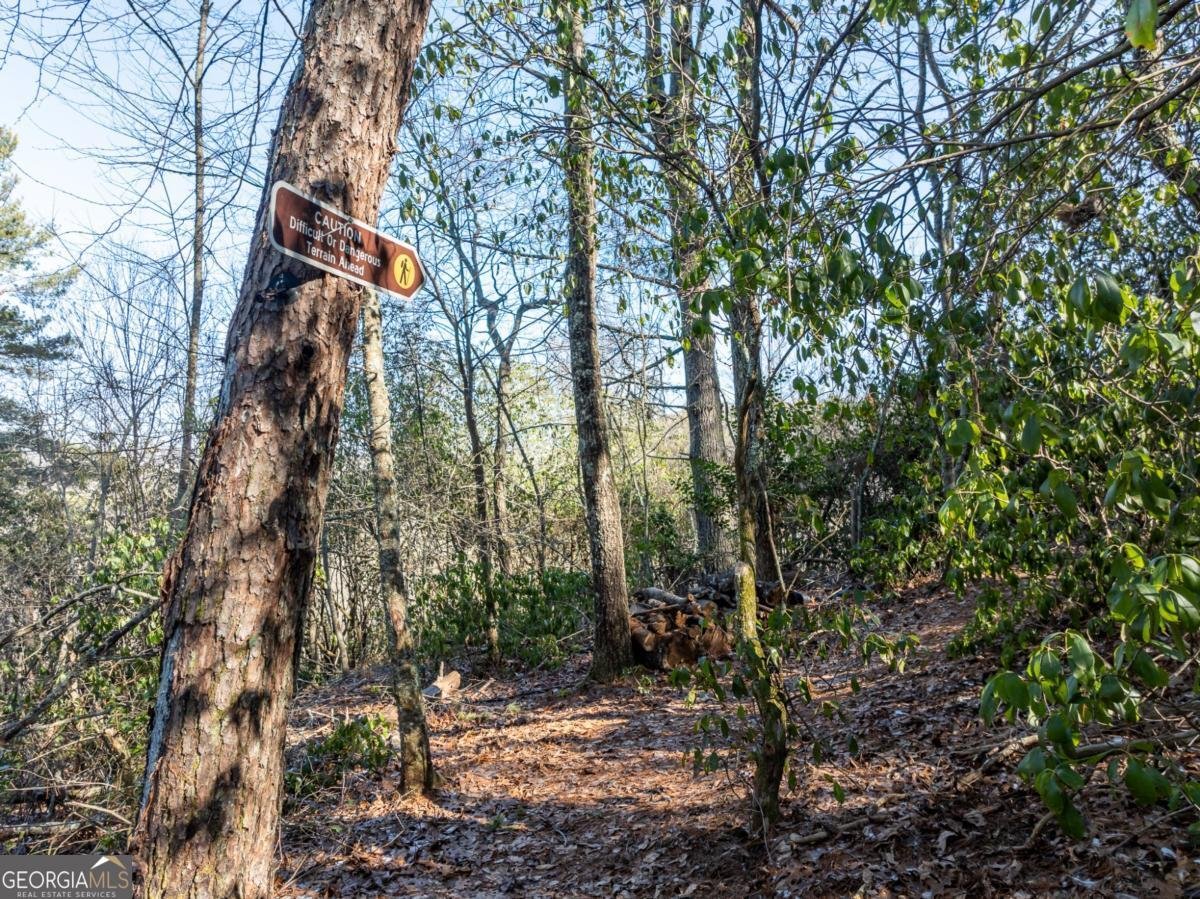 517 Ridge Road Blue Ridge - Photo 38