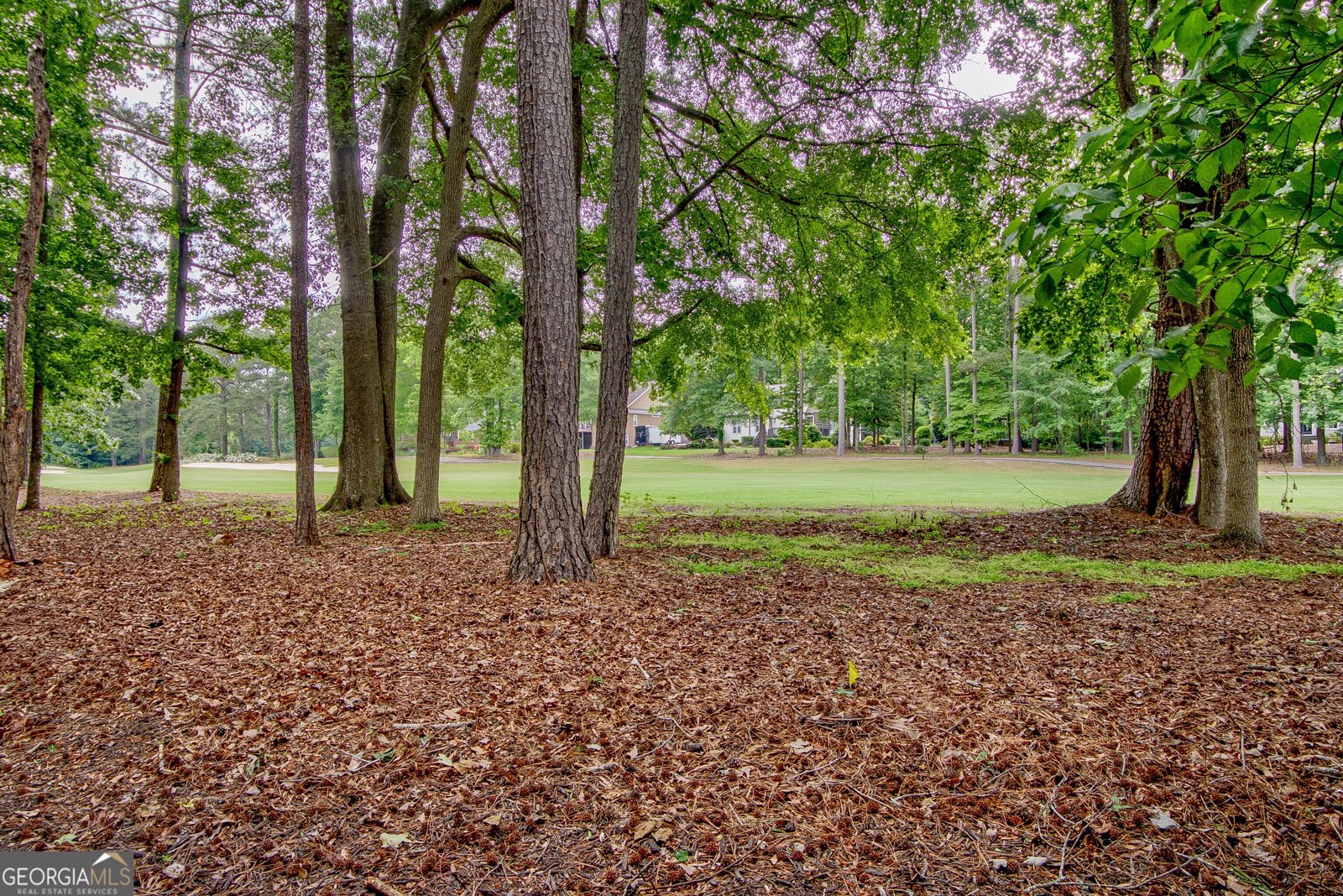 333 Kensington Drive Peachtree City - Photo 47