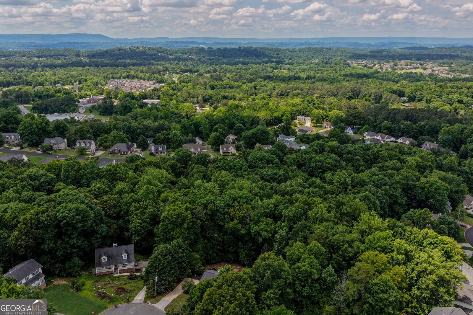 40 Brookside Drive Ringgold - Photo 45