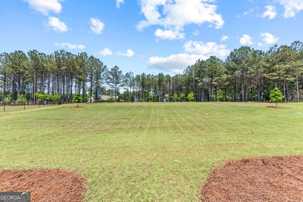 2364 Blazing Star Court Statham - Photo 54