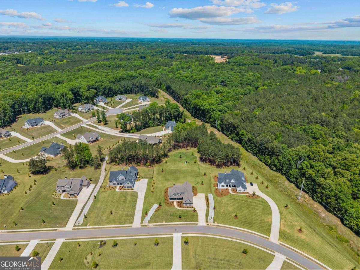 2364 Blazing Star Court Statham - Photo 62