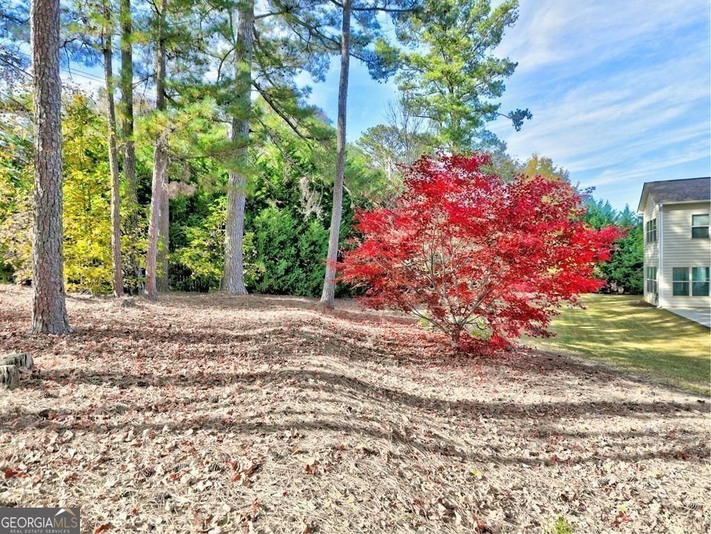 640 Maddie Way Marietta - Photo 48
