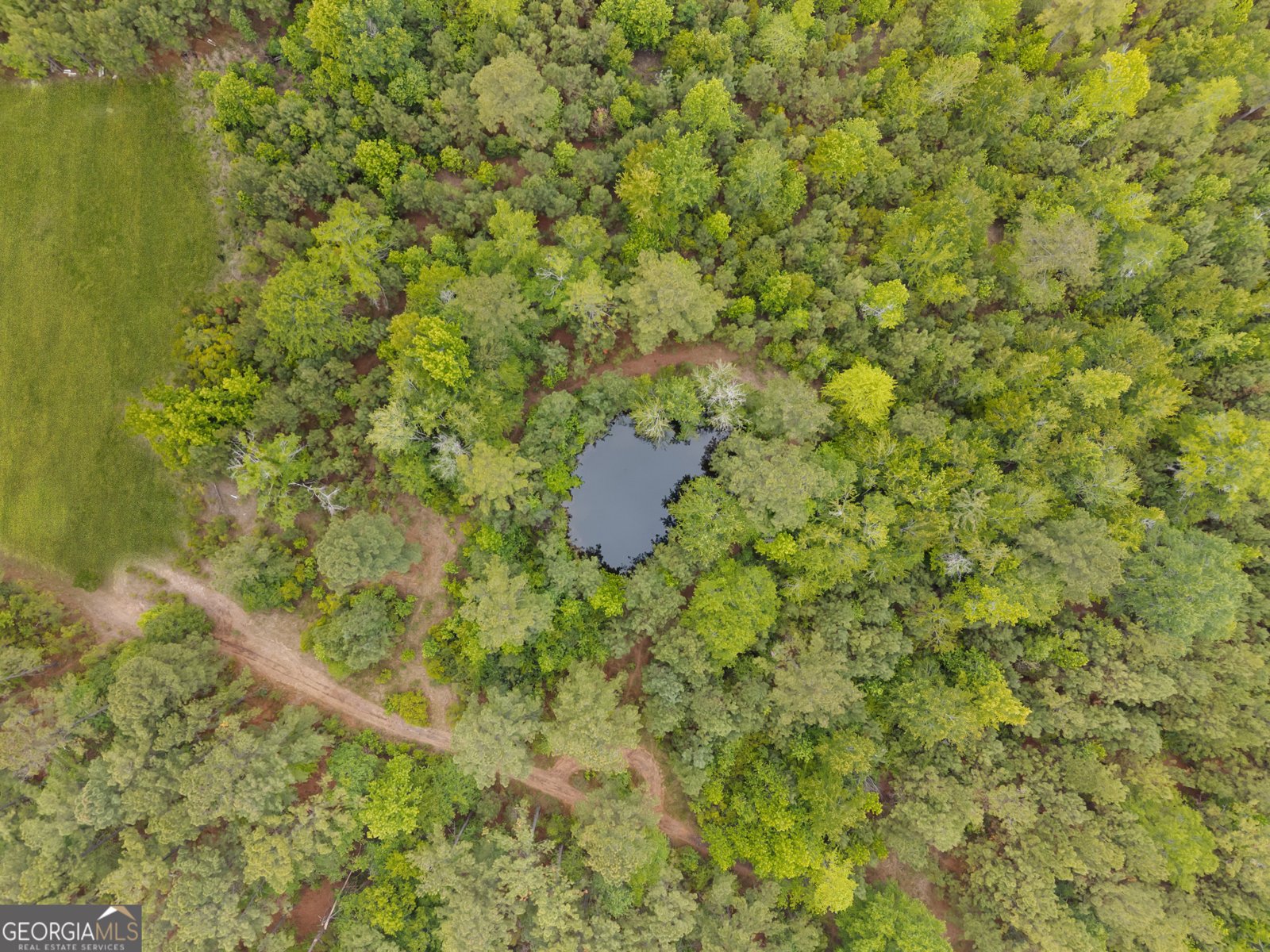 2973 Buttermilk Road Sylvania - Photo 44