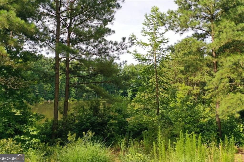 12803 Doe Drive Milton - Photo 45