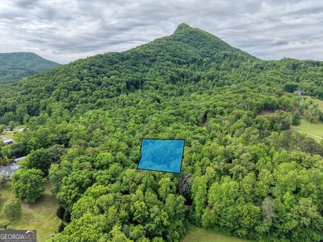 1568 Carlvin Road Hiawassee - Photo 16