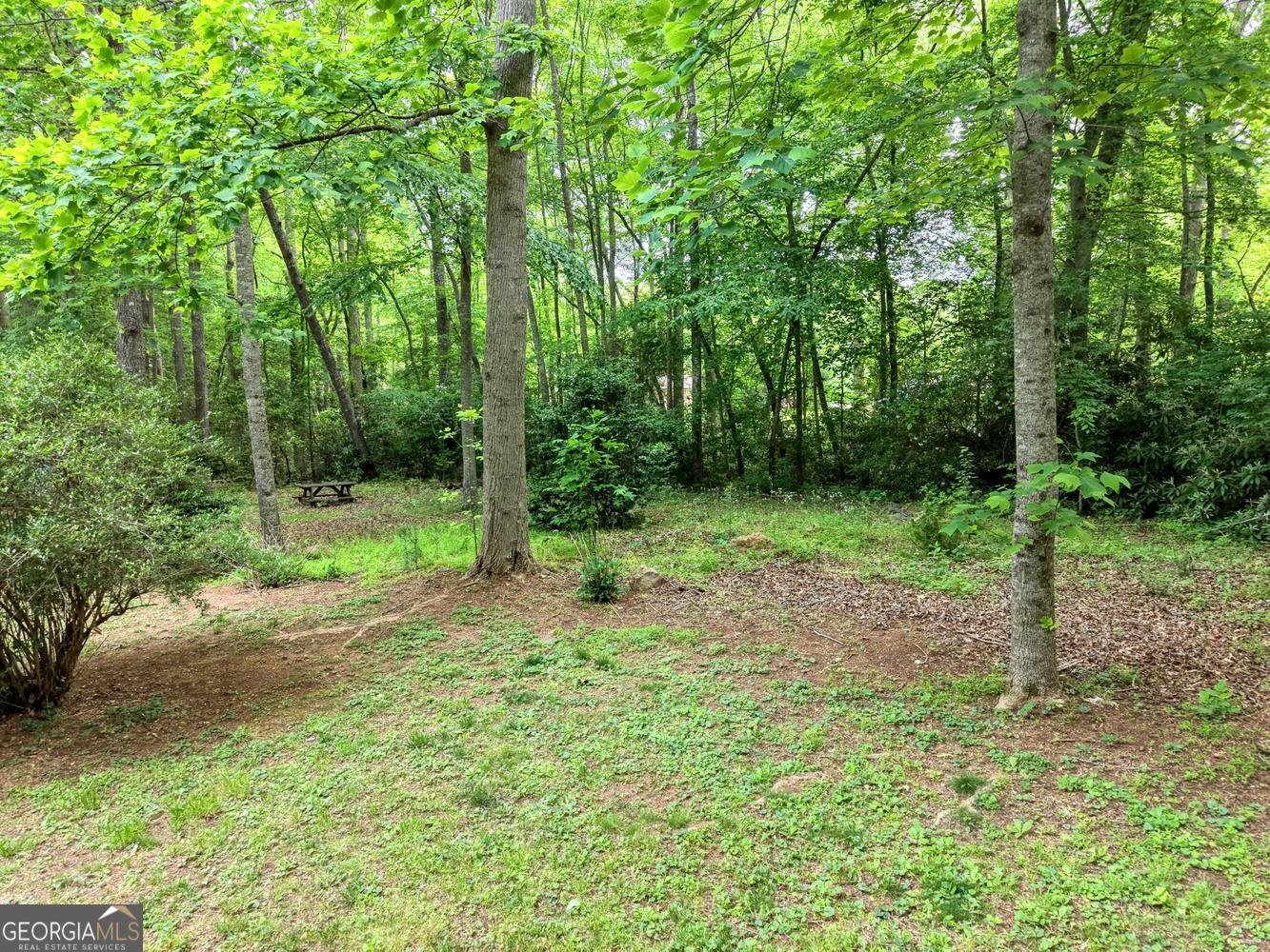 1568 Carlvin Road Hiawassee - Photo 41