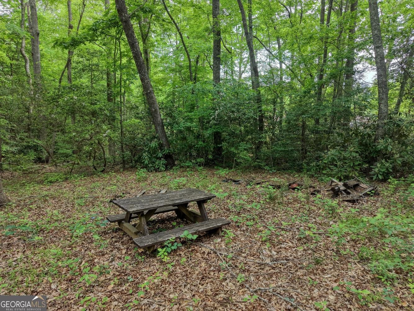 1568 Carlvin Road Hiawassee - Photo 42