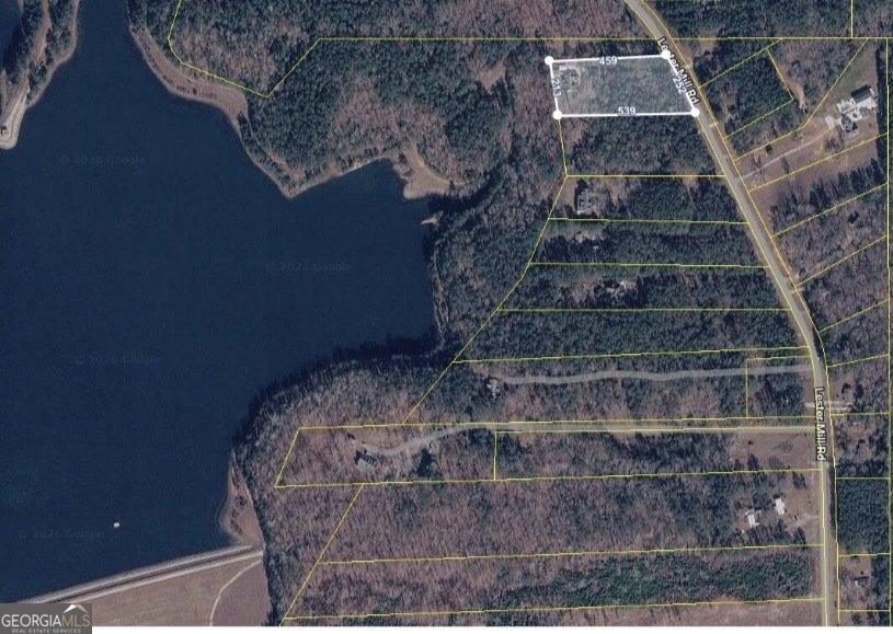 2736 Lester Mill Road Locust Grove - Photo 30