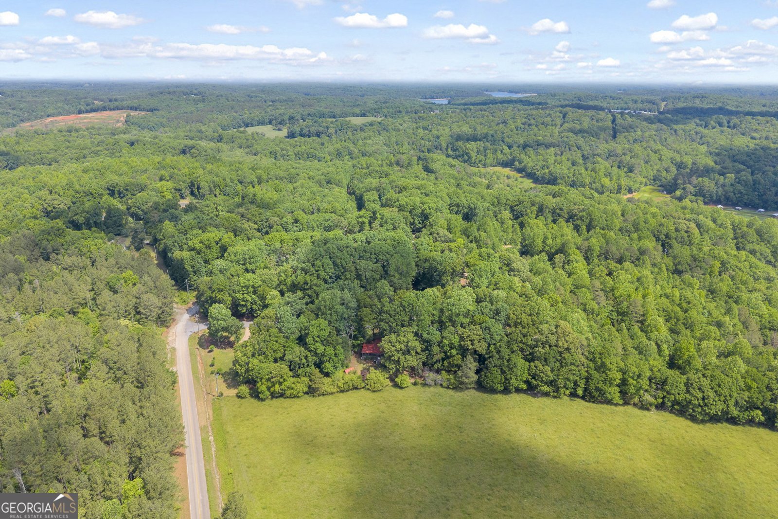 70 Old Chism Trail Lavonia - Photo 47
