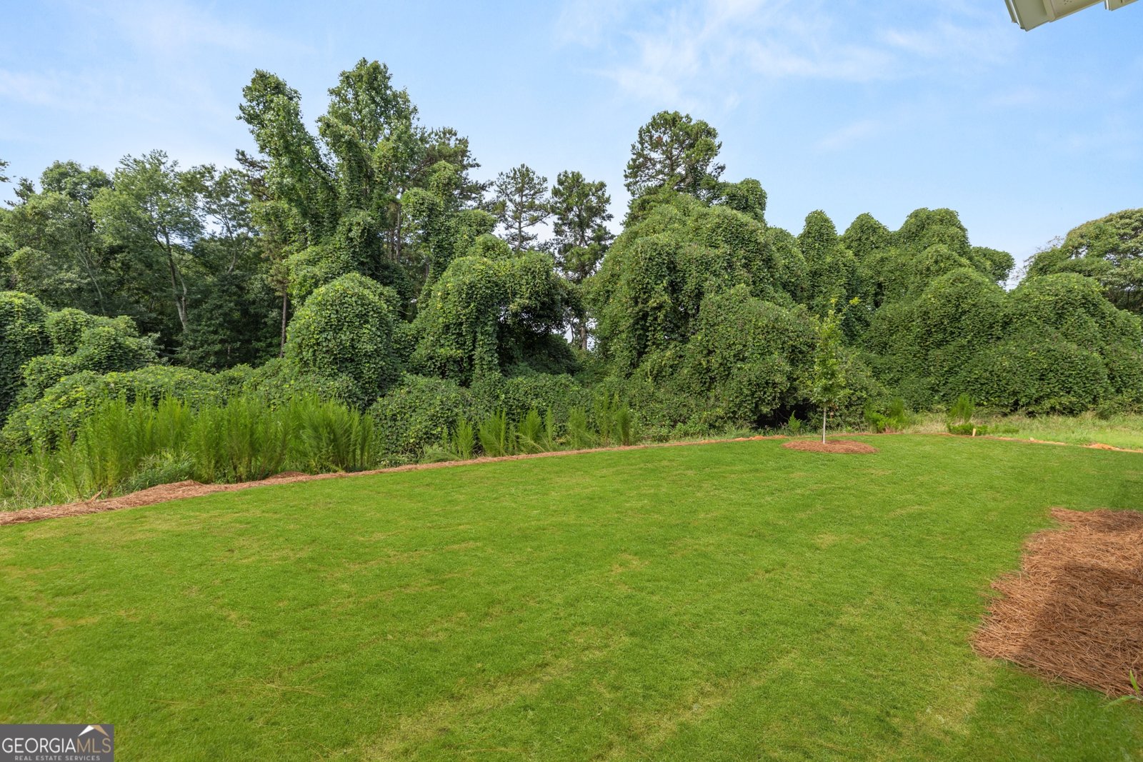 88 Spruce Hollow Winder - Photo 13