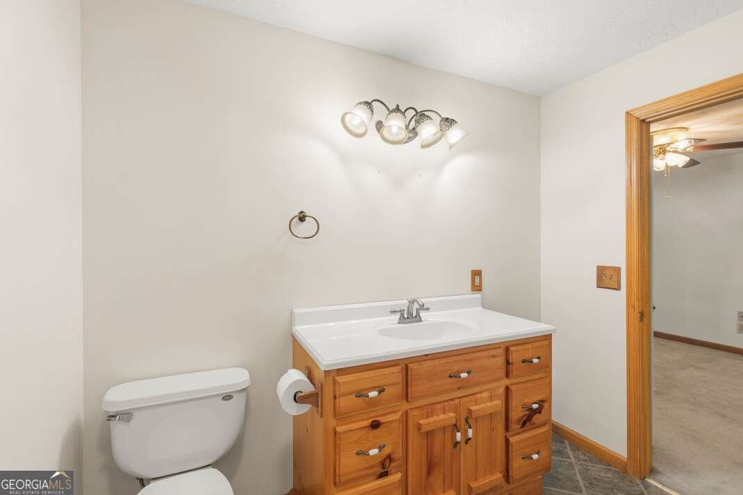 40 Caledonia Drive Blairsville - Photo 25