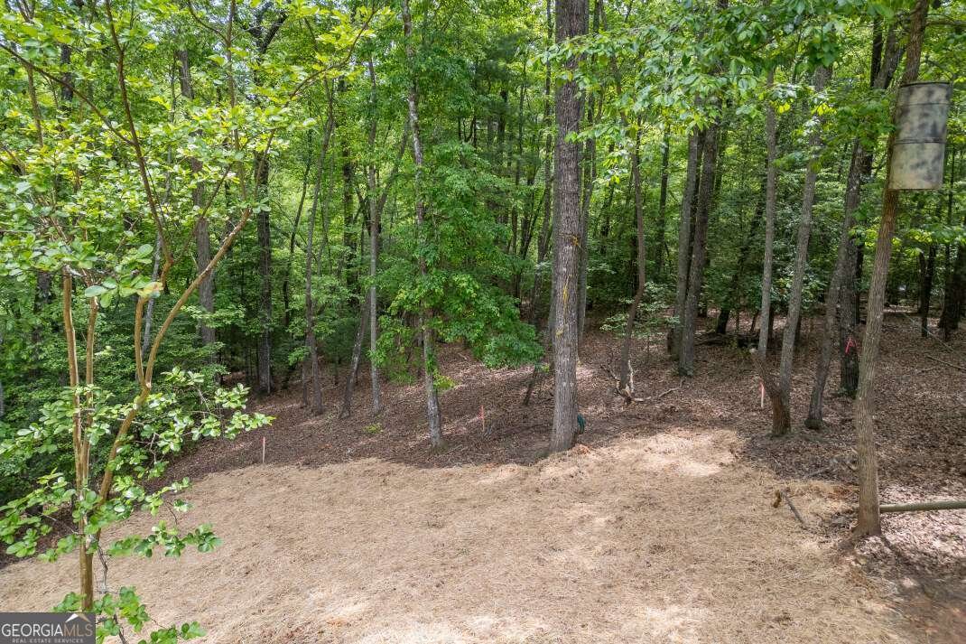 40 Caledonia Drive Blairsville - Photo 43