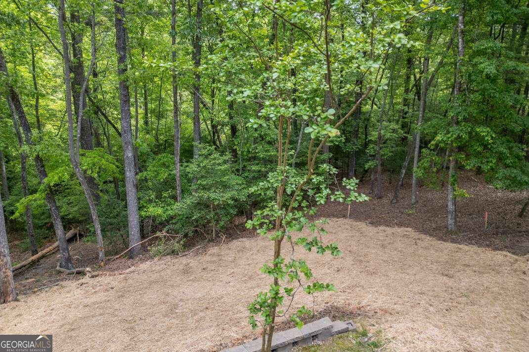 40 Caledonia Drive Blairsville - Photo 44