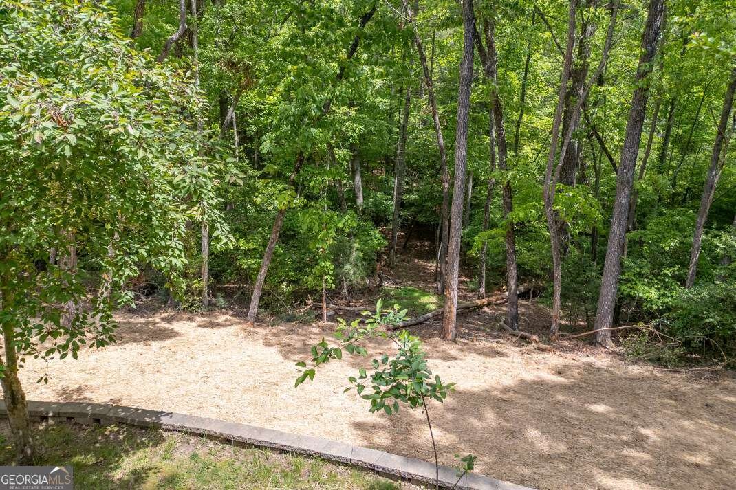 40 Caledonia Drive Blairsville - Photo 45