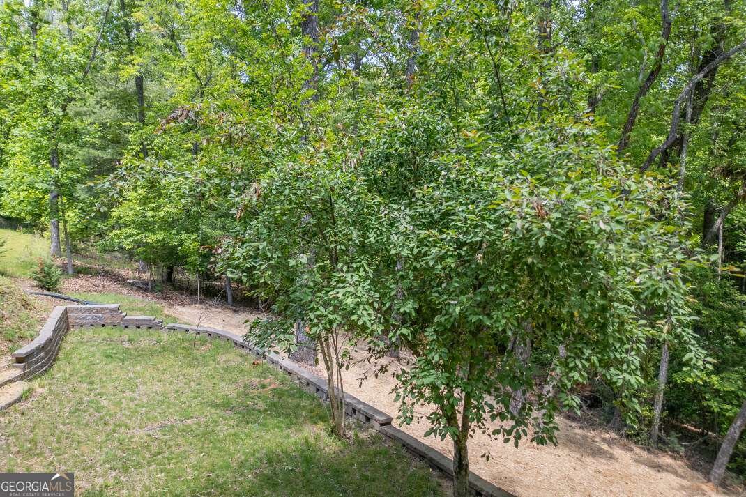 40 Caledonia Drive Blairsville - Photo 46