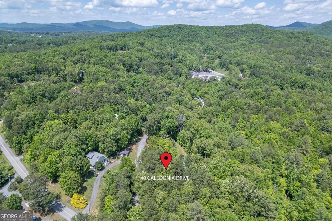 40 Caledonia Drive Blairsville - Photo 52