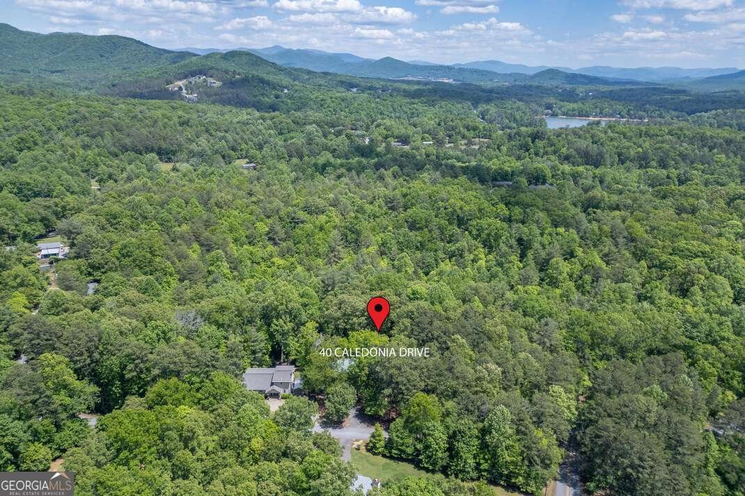 40 Caledonia Drive Blairsville - Photo 53